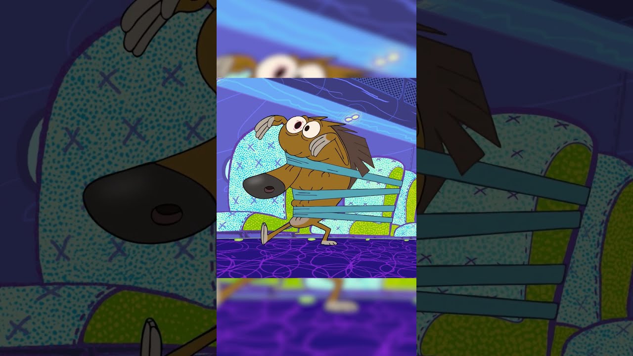  Shorts Zig Sharko ONLY HUMAN