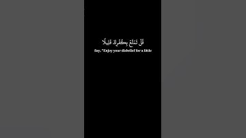 قل تمتع بكفرك قليلا 🌹 محمد صديق المنشاوي 🌹 كرومات سوداء القرآن الكريم 🌹 الزمر - 8