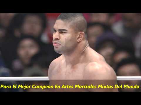 2012 Tribute Alistair Overeem (Heavyweight Champion Strikeforce In Dreams And K-1)