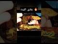   اكسبلور  طبخ