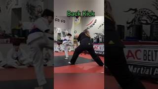 Back Kick Board Breaking | Taekwondo