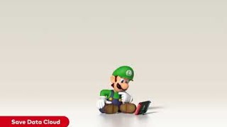 Luigi Knows
