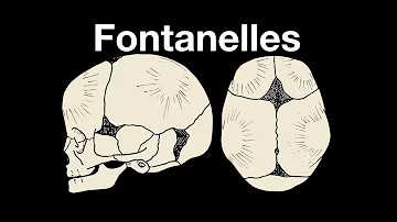 Quel sont les signes de déshydratation chez un bébé ?