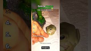 The last frog is so Zesty #frog #topfrog #cutefrog