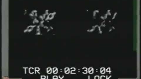 1990 Sun/Trancept Volume Visualization movies - TAAC-1 and VX/MVX