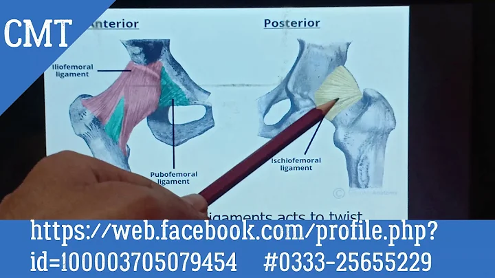 biomechanics of Lower Extremity|| SUSAN J HALL || ...