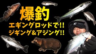 エギングロッドでアジング ジギングに挑戦 長崎南部で爆釣 13 Youtube エギングロッドでアジング ジギングに挑戦 長崎南部で爆釣 13 Youtube