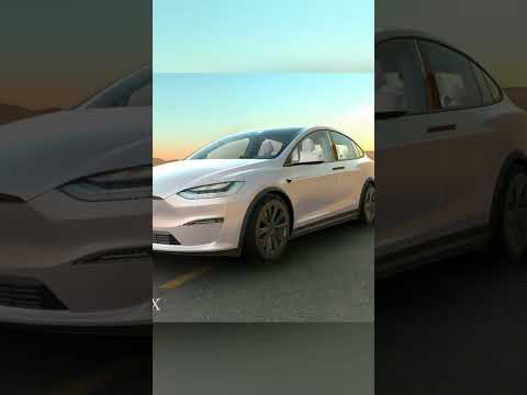 2025 TESLA MODEL