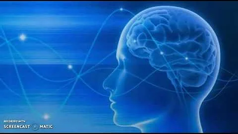 Levels of Consciousness