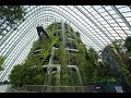 Невероятные Оранжереи "cloud forest" в Сингапуре