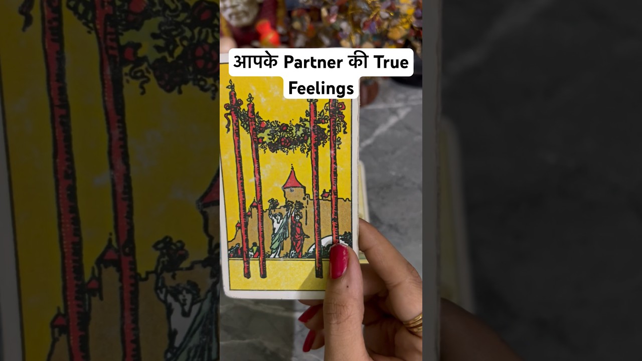 आपके Partner की True Feelings ❤️No Contact💯 Next Action💯@0507