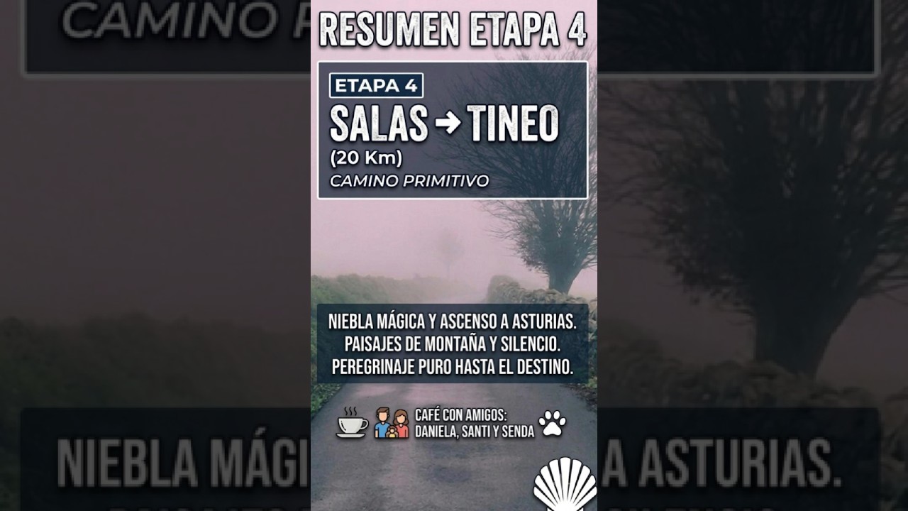 Niebla y montaña! 🥾 Camino Primitivo: Etapa 4 (Salas - Tineo) 🎒#caminoprimitivo #caminodesantiago