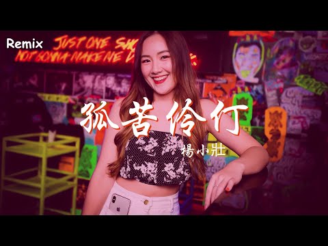 楊小壯 - 孤苦伶仃 - [慢搖DJ舞曲] - 2023年最勁爆的DJ歌曲  - [Chinese Dj Remix 2023]