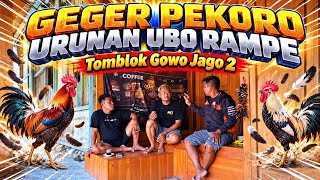 TOMBLOK BRINGS TWO ROOSTERS || APPARENTLY HE DIDN'T CHIP IN...🤣🤣🤣