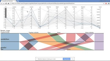 Parallel Coordinates and Parallel Sets Plot