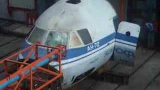 Birdstrike test
