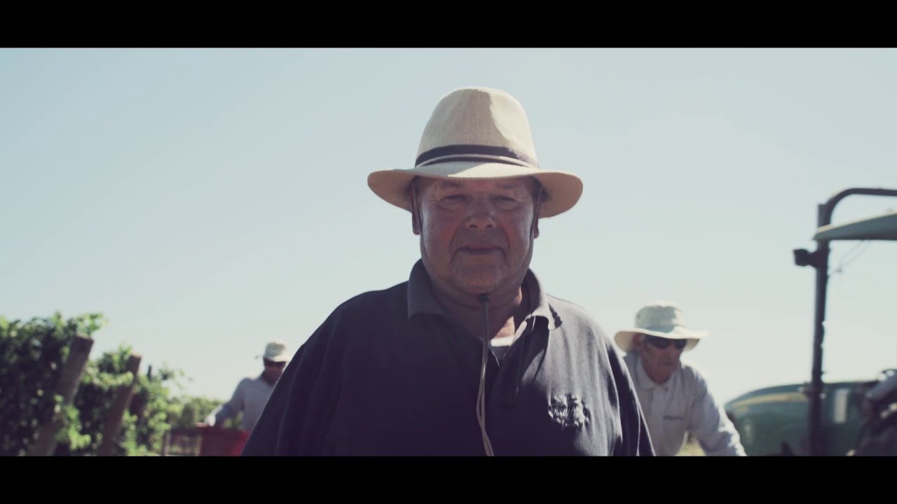 Weine von Viñedos Terra Noble – ​in der Schweiz bei Baur au Lac Vins