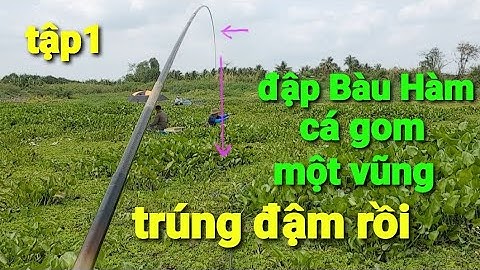 câu cá sặc rằn tại đập Bàu Hàm trúng đậm @TAMCARO