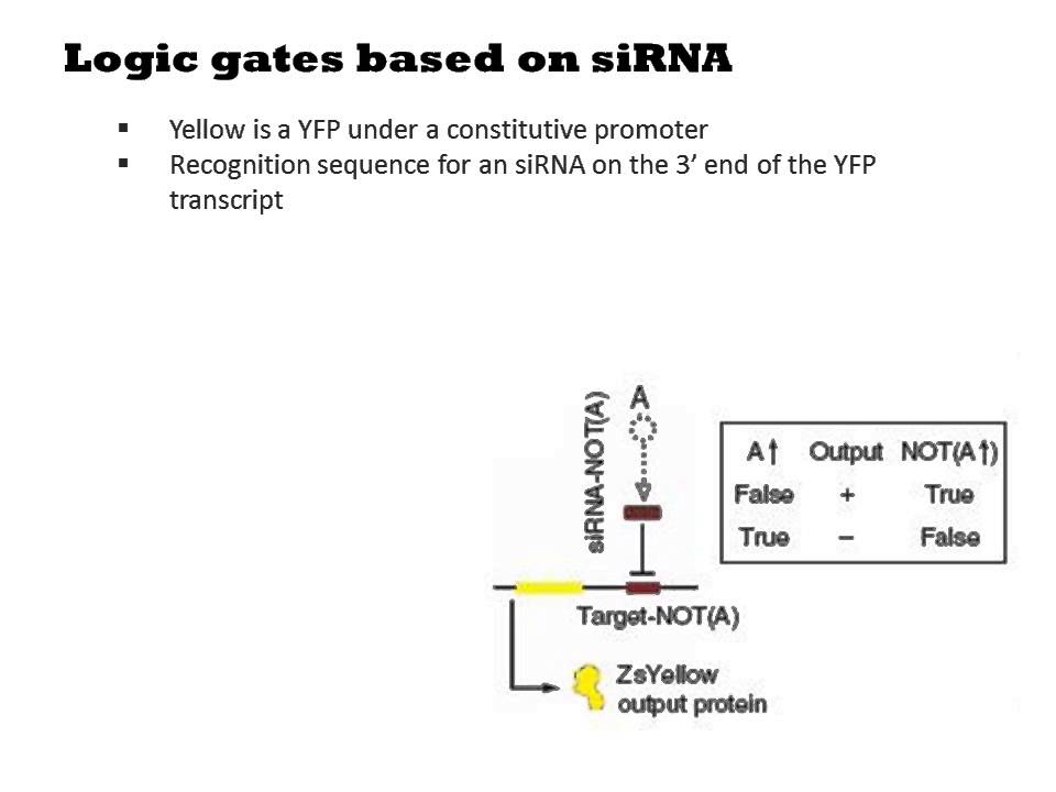 miRNA Logic Gates