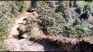 Sandakaphu Trek 2020