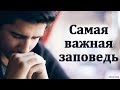 &quot;Самая важная заповедь&quot;. А. Пономарёв. МСЦ ЕХБ