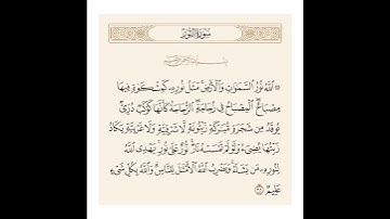 { الله نور السموات والأرض مثل نوره كمشكاة فيها مصباح ...} #القرآن_الكريم #القرآن  #تلاوة_خاشعة #ريلز
