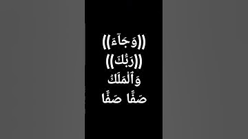 #قرآن صوت جميل جدا مؤثر #محمد_الفقيه #تلاوة_خاشعة #معصم_محمود @القرآن_ك5ت