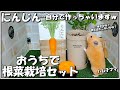 【新企画】ペットの為にコレだけあれば簡単に出来る根菜栽培生活を始めてみたっ！！【おうちで根菜栽培セット】