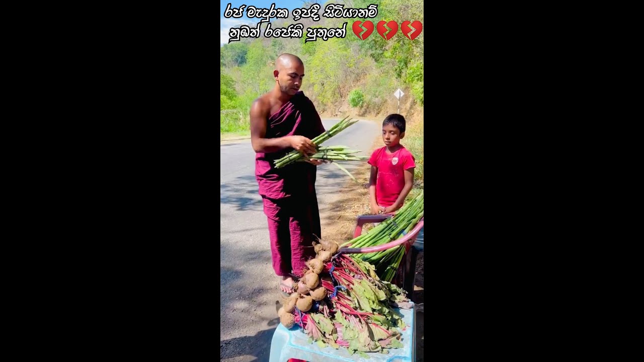 රජ මැදුරක ඉපදී සිටියානම් නුඹත් රජෙකි පුතුනේ 💔 බත් පතට සවියක්වෙමු අපේ අහිංසක මිනිසුන්ට #sandagiriseya