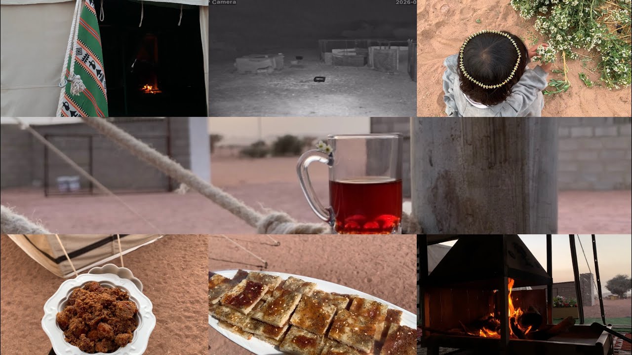 فلوق بعد غيبه 🥲 وفعاليات الذيب مع غنمنا 😡🤜🏻