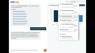 Save Reports Once. Access Anytime | TripGain Spend Copilot