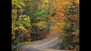 Francis Goya  - Mona Lisa