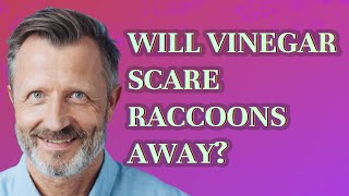 Will vinegar scare raccoons away?