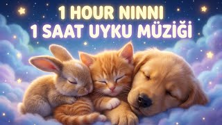 1 Hour Ninni for Babies 💤 | Tavşan Kedi Köpek Uyuyor 🐰🐱🐶 | Baby Sleep Lullaby