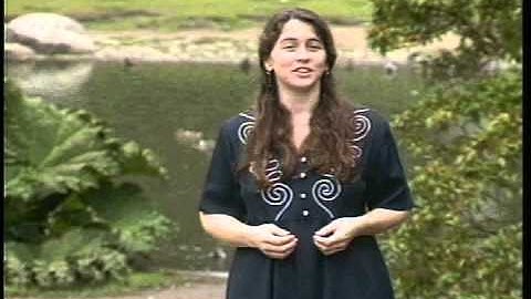 Plant Usage in Landscape Design