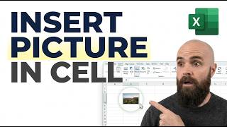 Insert Pictures In Excel Cells [Easy Steps]