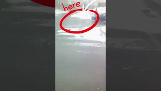 Le monstre des neige du Canada, E-bike electrique, 32-40km/h, pneu 20po