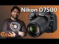 Обзор Nikon D7500 (отзывы на Pleer.ru)