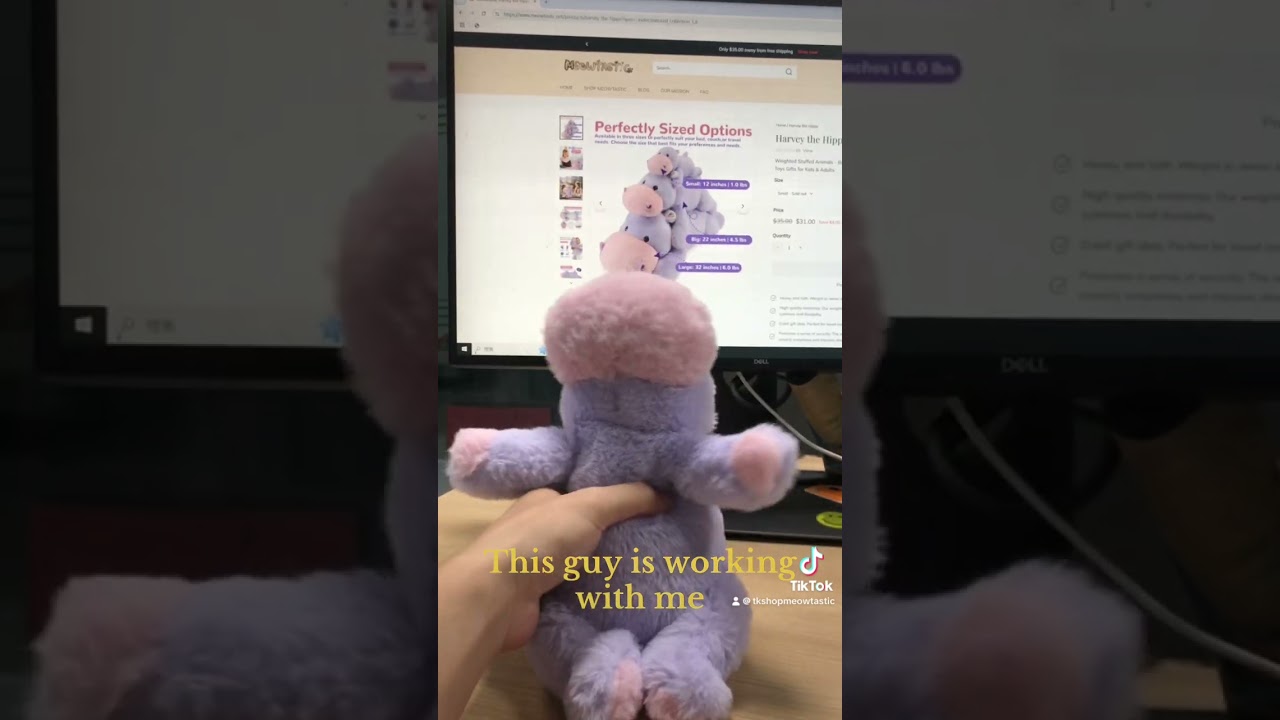 meowtastic hippo-weighted stuffed animal