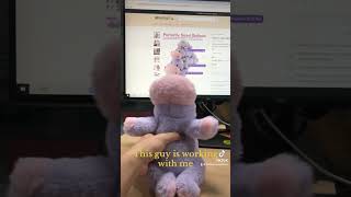 meowtastic hippo-weighted stuffed animal