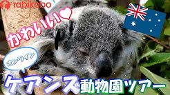 公式 旅工房 Youtube 公式 旅工房 Youtube