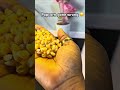 I Tried making popcorn for the first time #popcorn #cooking