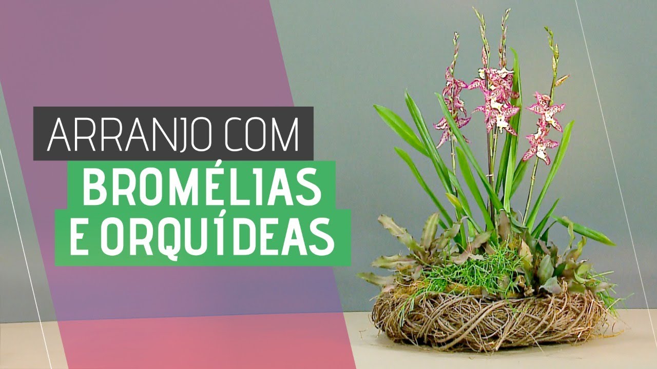 ARRANJO COM BROMÉLIAS E ORQUÍDEAS -  Um jeito fácil de usar orquídeas e bromélias!