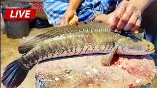 Fish Cutting Live Amazing Fish Cutting Skills Live In Bangladesh Fish Market By Expert Fish Cutter