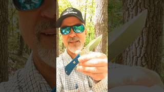 This one is stunning!! #tools #youtubeshorts