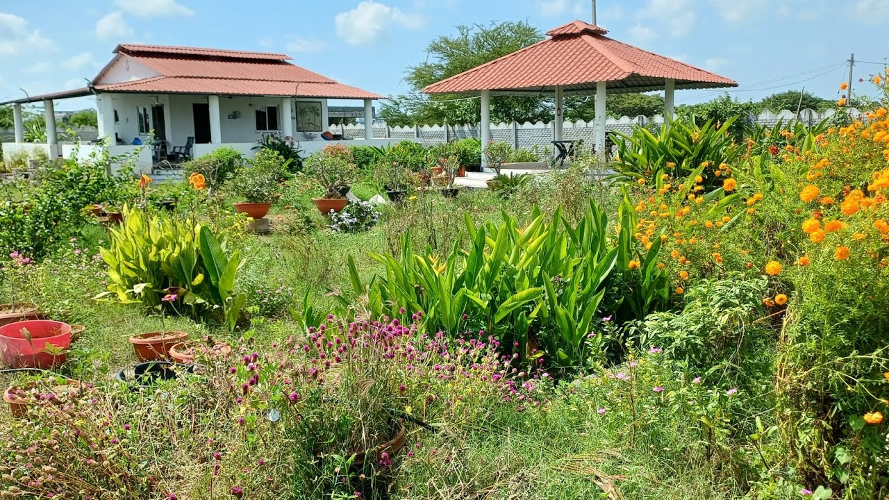 A pleasant morning in Our farmhouse