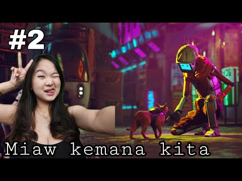 MJeyinca Miaww kemana kita - Stray Indonesia part 2