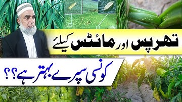 How to control Thrips and Mites from different crops || Crop Reformer
