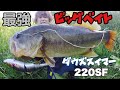 【ダウズスイマー】巨大なルアーででかい魚釣れた！