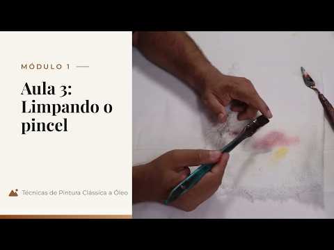 Módulo 1 aula 3 Limpando o pincel